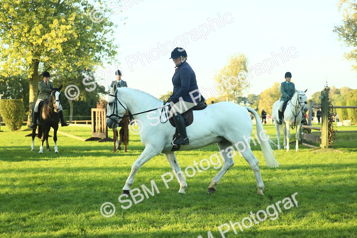 SBM_56430 - S14 - Riding Club Horse