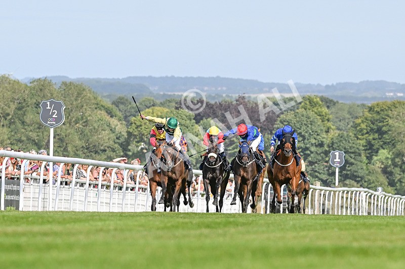 140824-Race 4-Queens Road Revue-3649 - Race 4