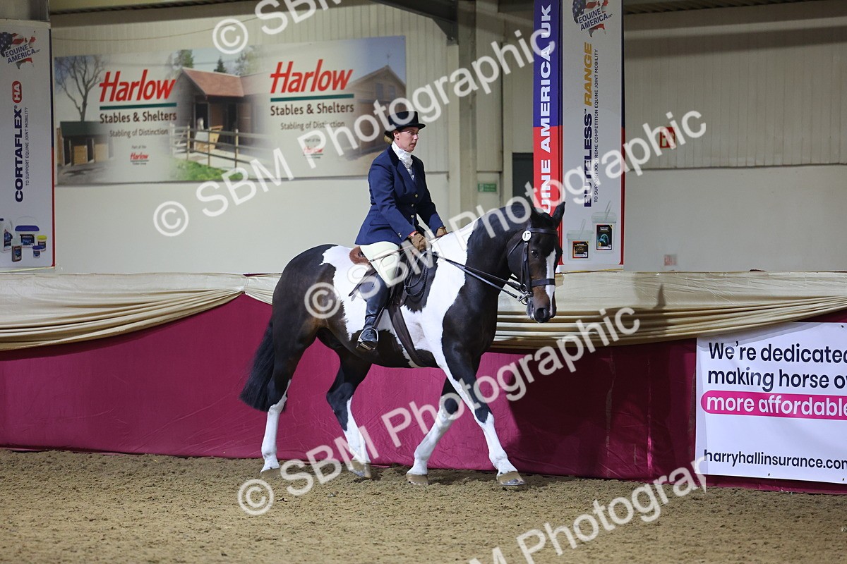 0B8A4446 - Class O Ridden Show Horse Champ