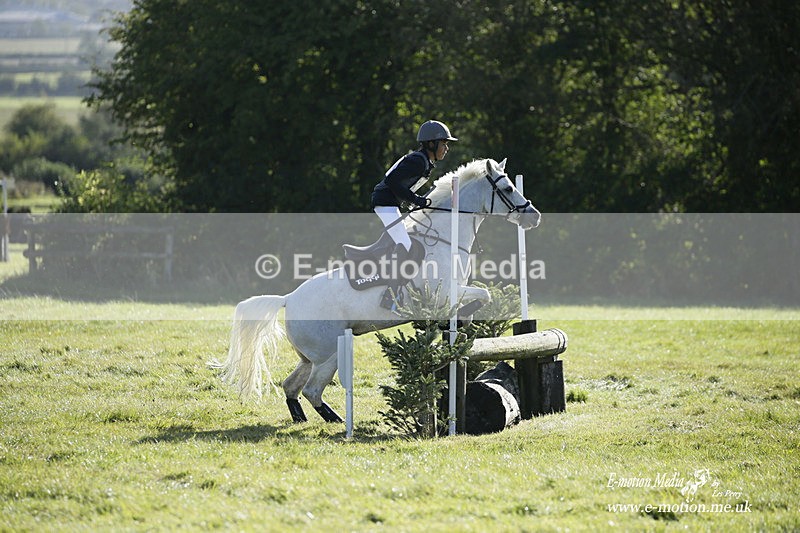 WWHT 031021 810 - Novice Restricted (0.80m) 03/10/21