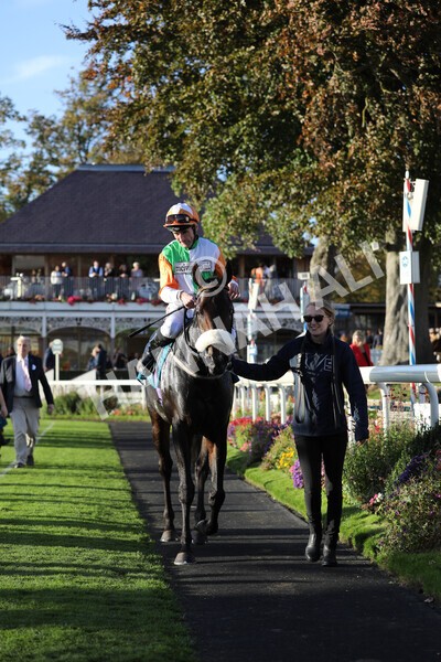 yr08102022r7-50 - Race 7 5.00pm The Coral Gets You Closer To The Action Stakes