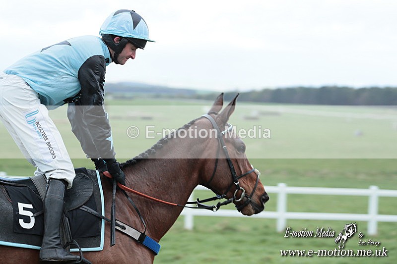 PtP 230324 473 - Tedworth Hunt PtP Larkhill Raccourse 23rd March 2024