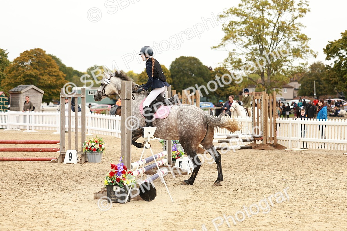SBM_57988 - J11 - Junior Pony 50cm Championship