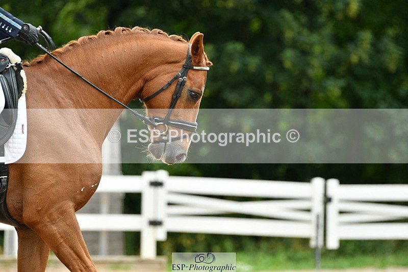 230701A-112733-04960 - Cls 9 Music Elementary