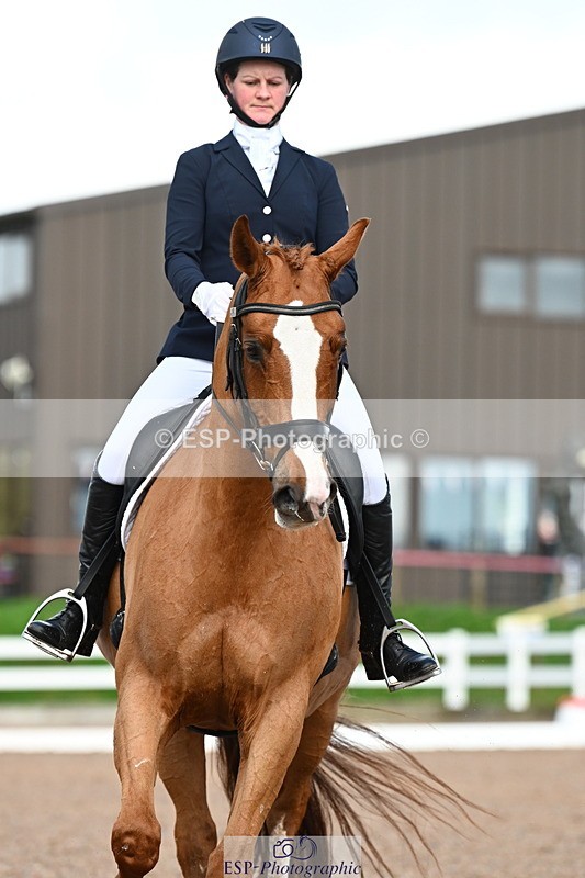 240218A-130131-07391 - 203-Ashley.Edmond-Sir.Suave.II