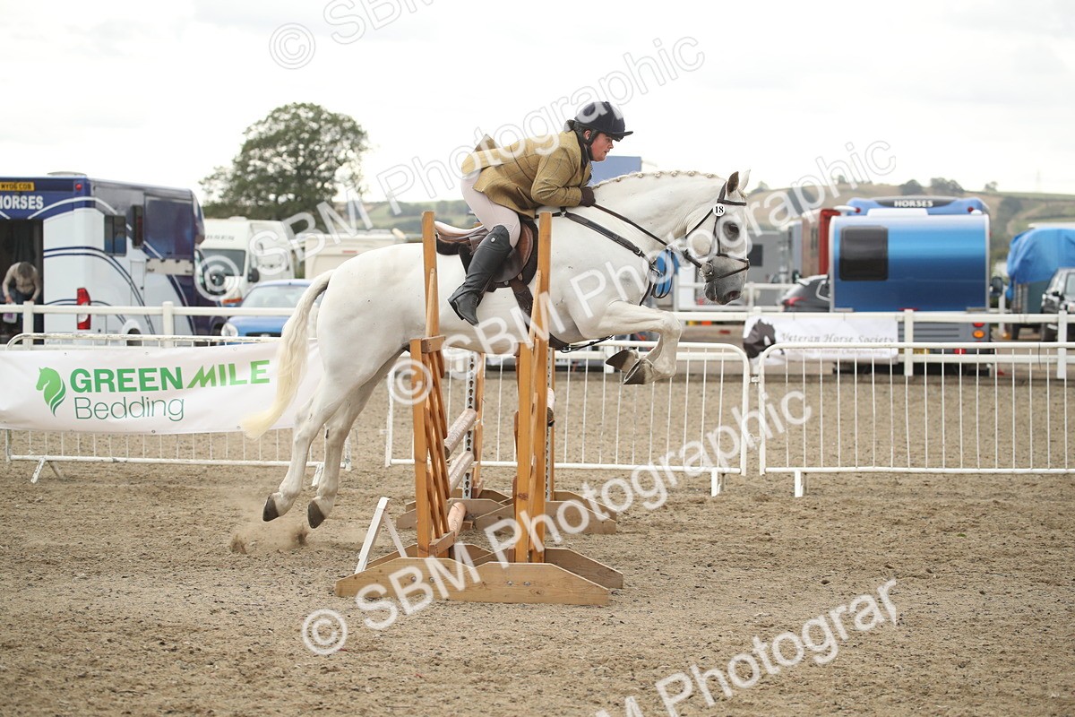 SBM_18443 - Class 510a - Working Veteran 90cm (15-19)