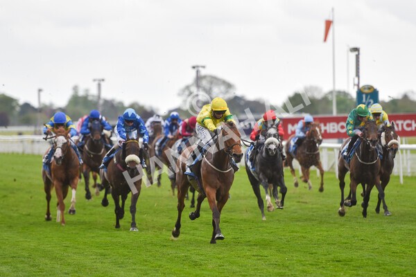 yr14052021r5-35 - Race 5 3.40pm The Jigsaw Sports Branding Handicap