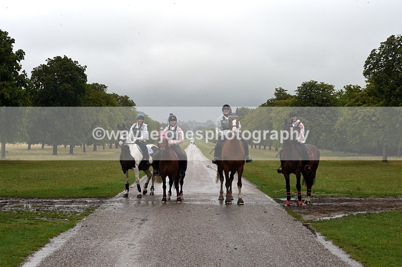 TT3_8601 - Time at Crossing 11:44 to 12:54