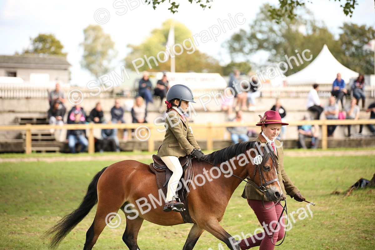 SBM_50024 - S26 - Young Veteran - Ridden