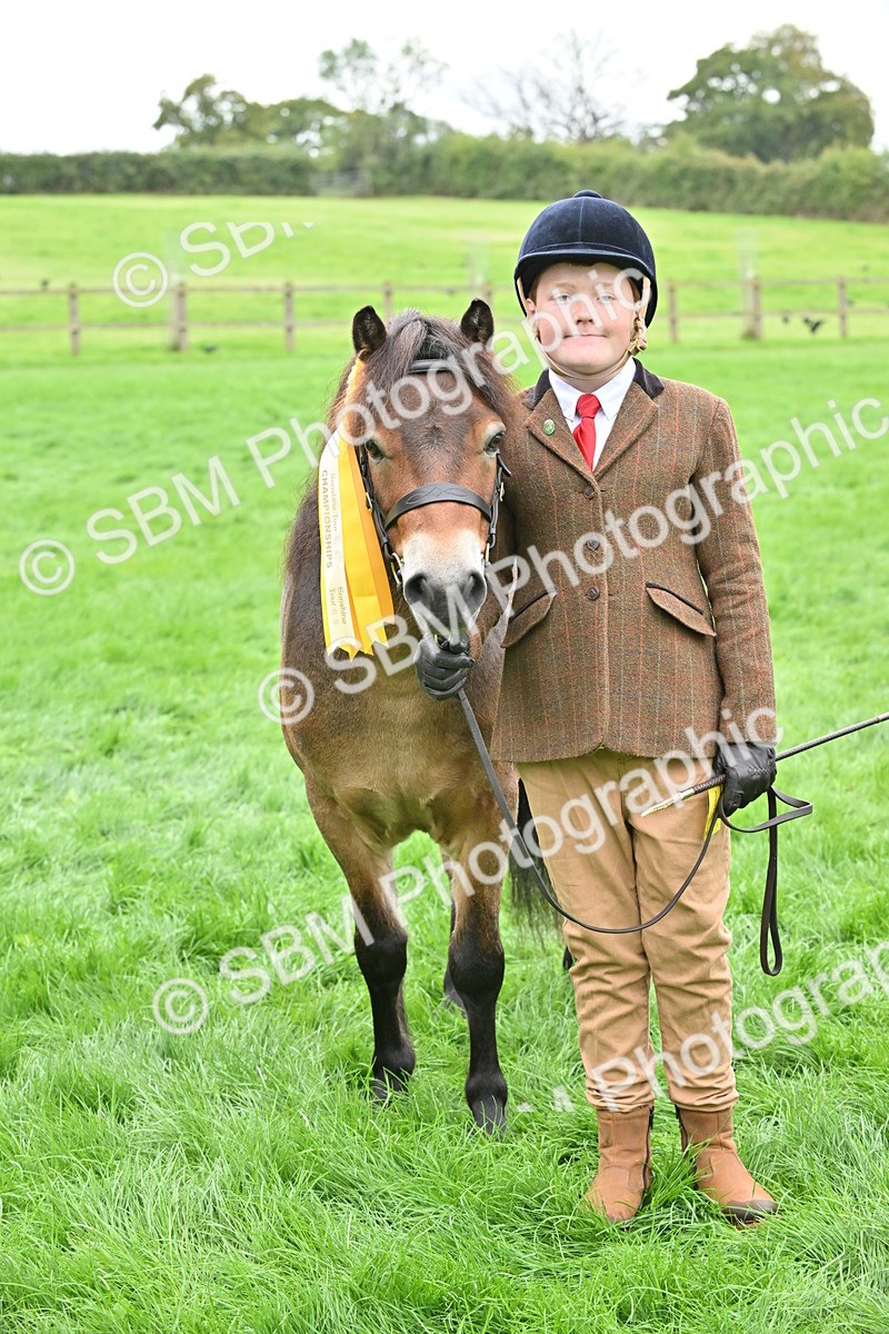 SBM_61052 - S48 - Mountain & Moorland In Hand Small Breeds
