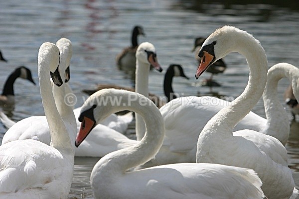 111 - Photos of Wakefield - Yorkshire