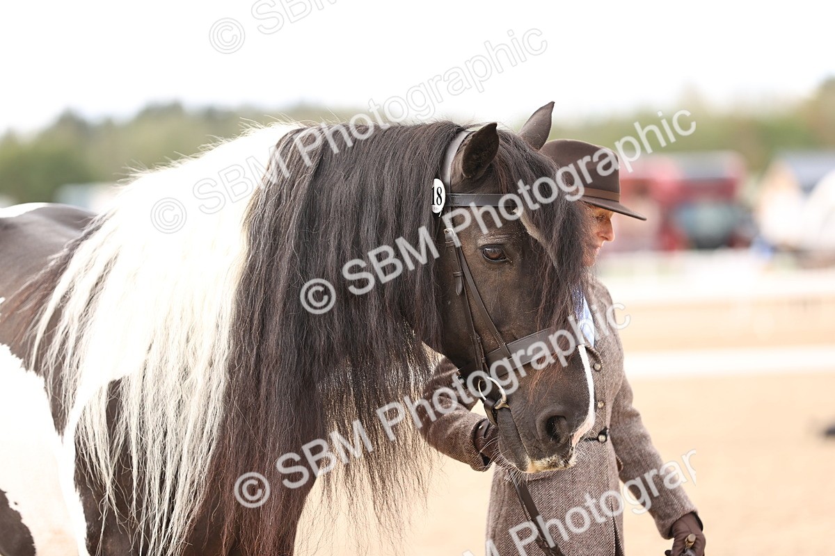 SBM_09301 - Class 404 - IH Traditional - Native Cob