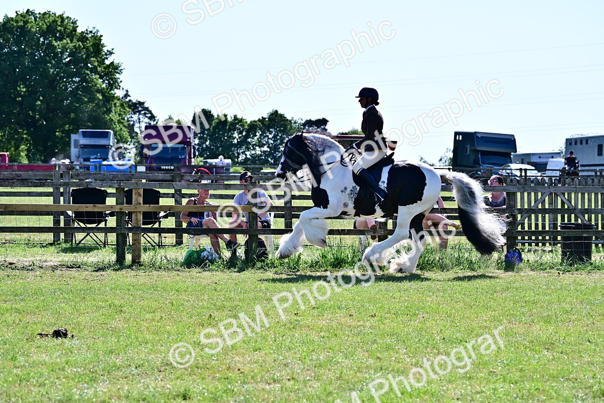 SBM_19389 - Class 101-102 - BSPS LIHS Performance Coloured Horse/Pony