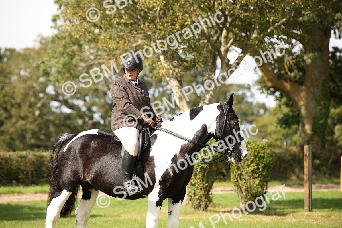 SBM_70107 - S65 - Piebald & Skewbald Horse Ridden