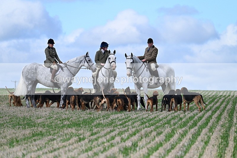 WJ7_5904 - Line One