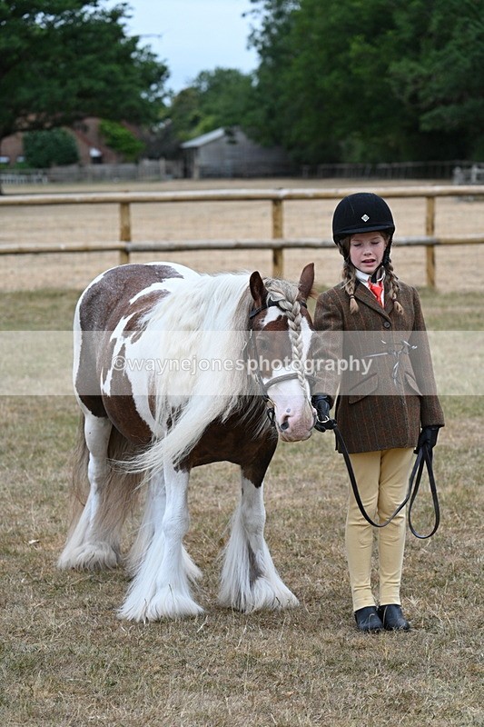 WJ7_8145 - Class 4 Prettiest Mare up to 14.2hh
