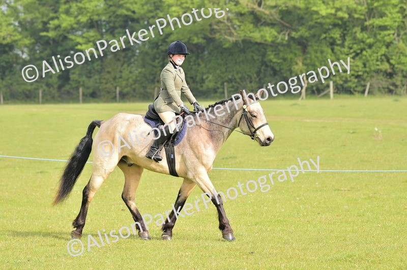 20260426-0848 - Class 18 - Novice Showing
