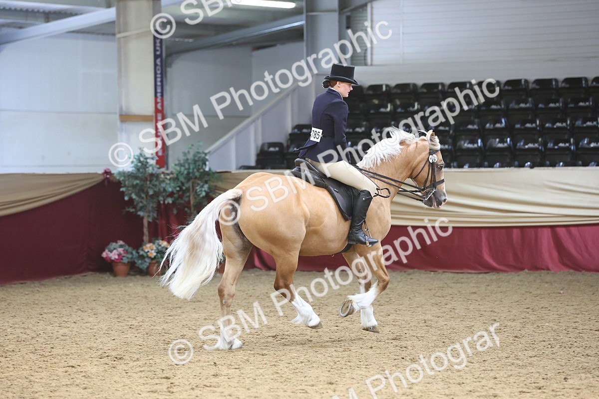 SBM_23781 - class 906 - Supreme Final - Ridden Pre Vet