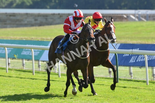  - Race 6 4.50pm The Ice Co supporting Macmillan Stakes