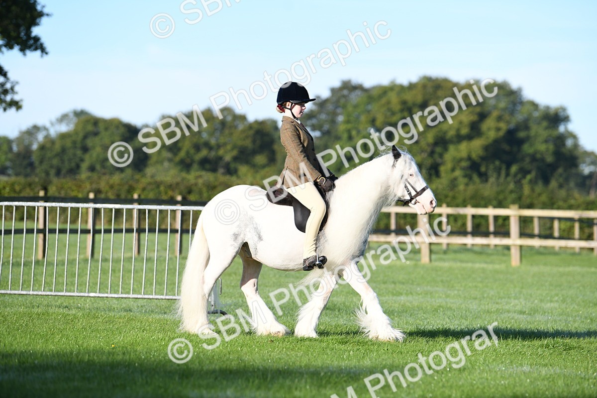 SBM_33911 - S16 - Condition & Turnout - Ridden