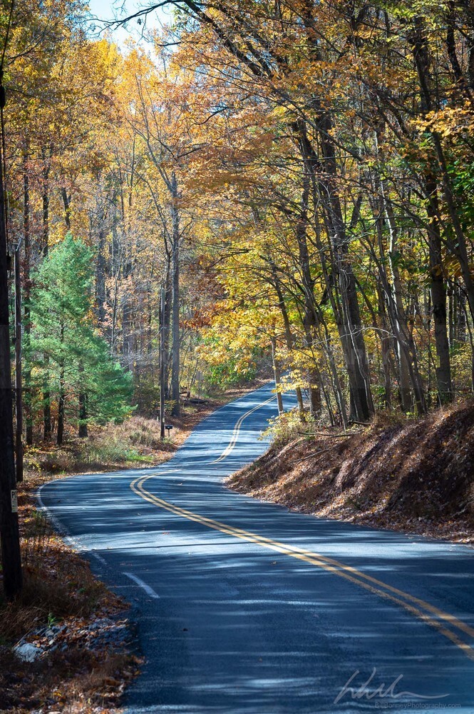 DSC_7989 - Roads