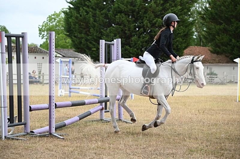 WJ6_0250 - Class 13 Novice Jumping 60cm