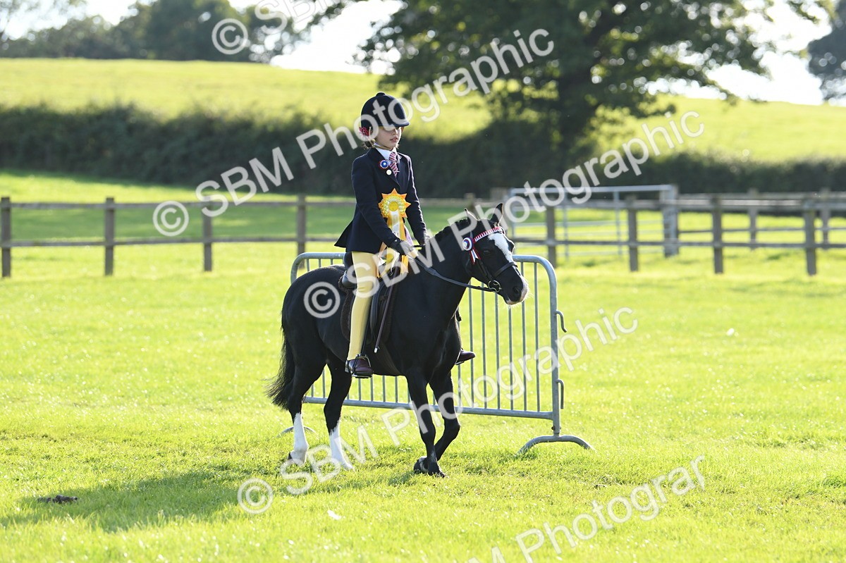 SBM_52466 - S22 - 1st Ridden Show & Show Hunter Pony