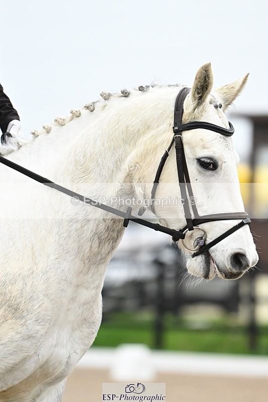 241103-110507-00434 - Intro 3 - 10.50 to 11.44