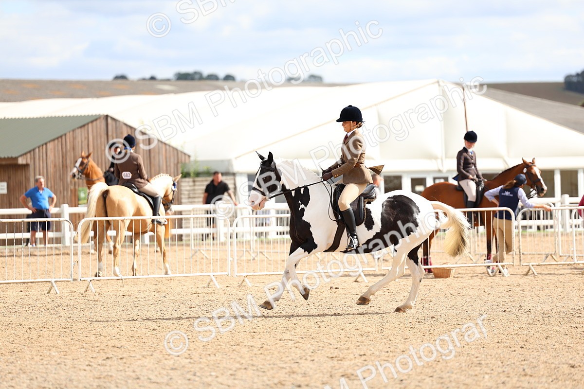 SBM_15851 - Class 314 - Family Horse - Pony