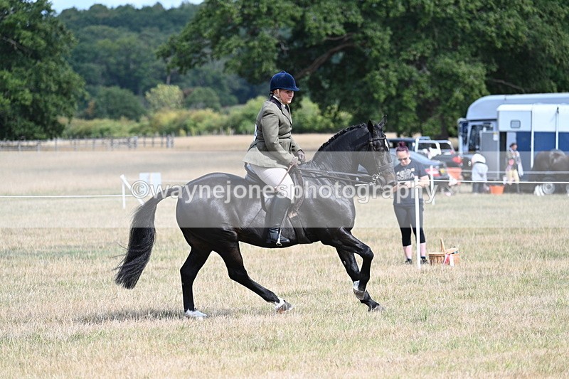 WJ7_6175 - Class 13 Ridden Veterans