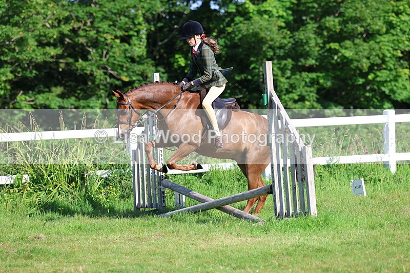 3E7A5900 - Class 27: Novice Working Hunter Pony