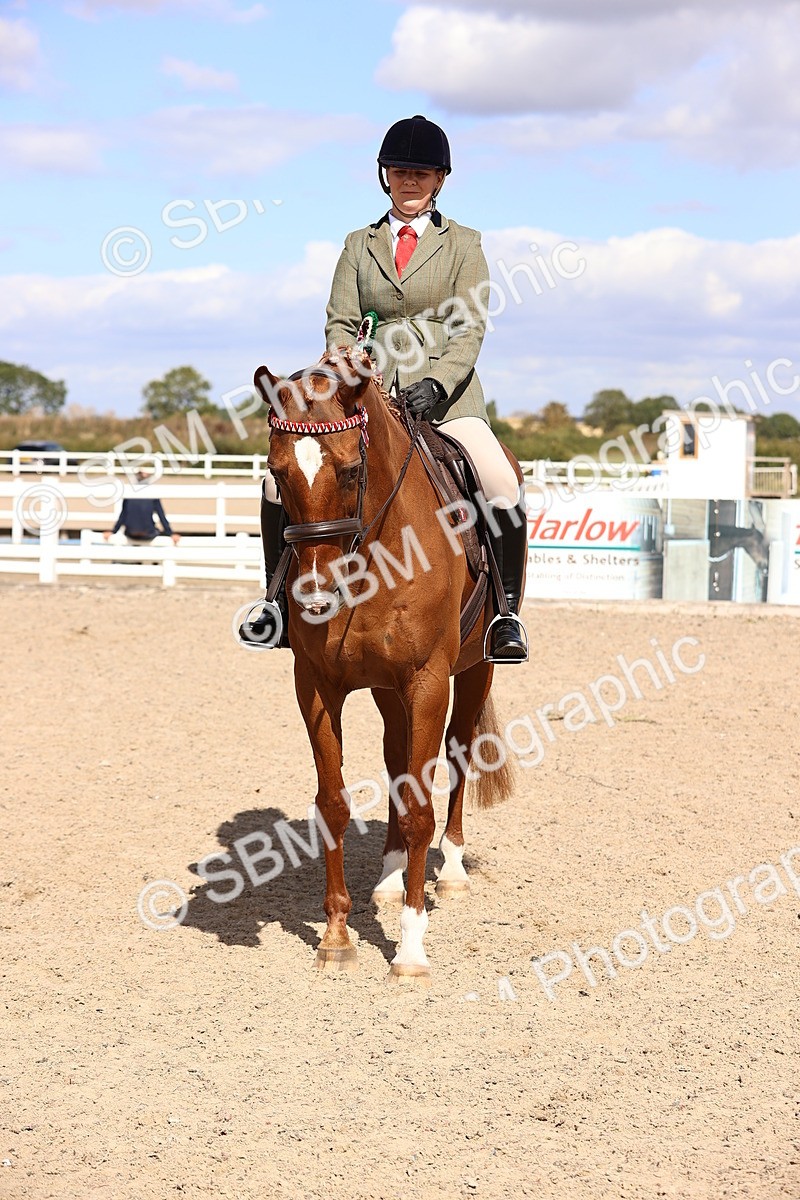 SBM_14325 - Class 411 - Prettiest Mare (IH OR Ridden) Adult