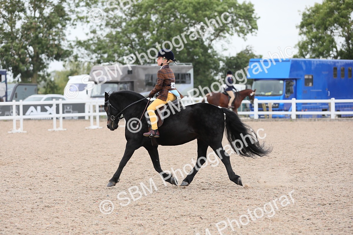 SBM_18062 - Class 316 Best Pony/Rider Combination