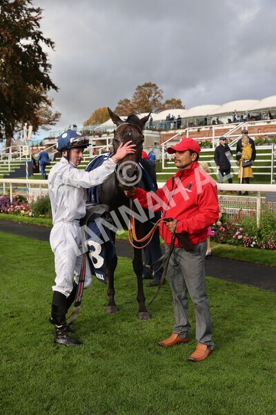 yr07102022r4-58 - Race 4 3.50pm William Hill Best Odds Guaranteed Stakes