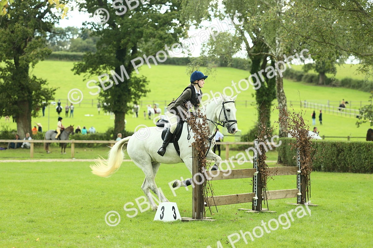 SBM_44721 - S31 - Working Hunter Pony