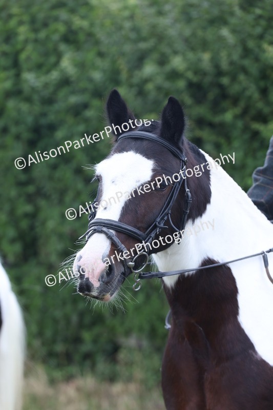 20250831-4311 - Class 20 - Ridden Coloured