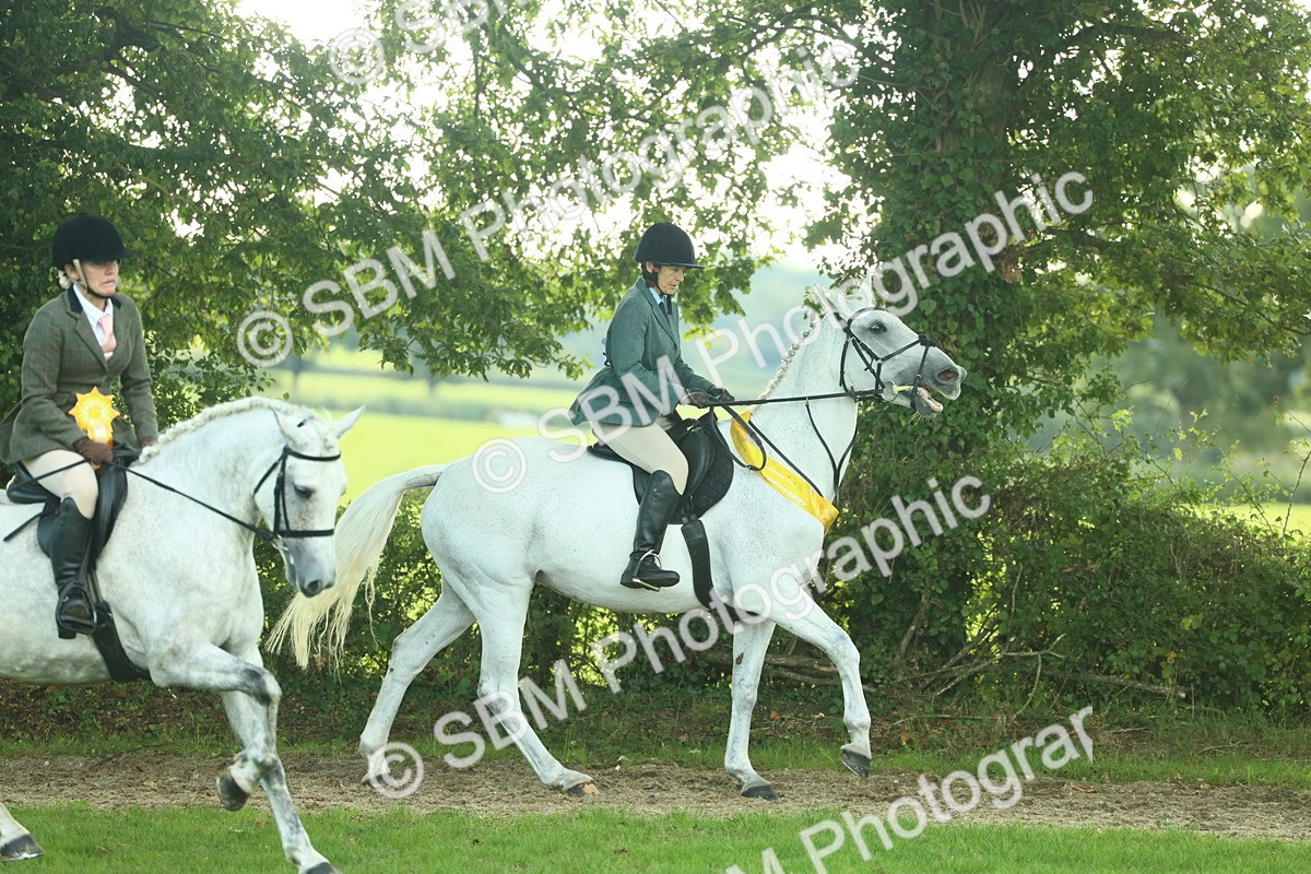 SBM_52258 - S33 - Working Hunter & Working Show Horse