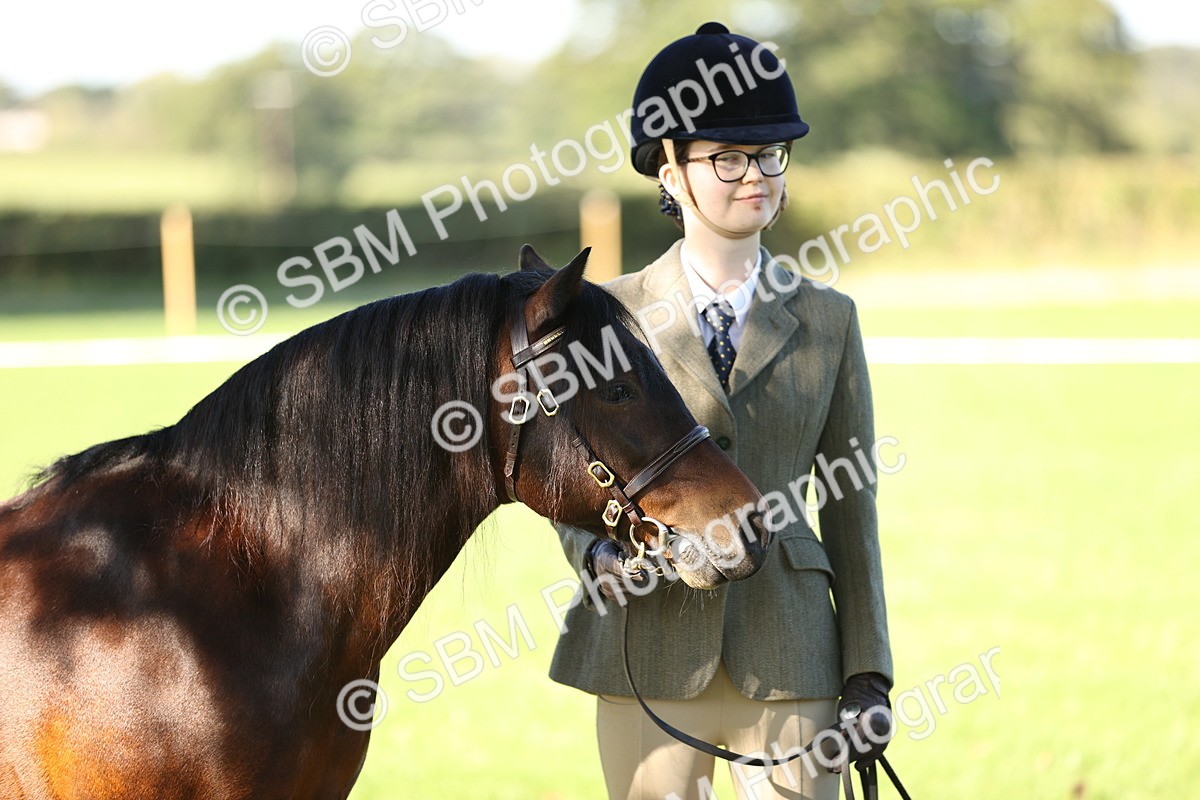 SBM_15827 - S1 - TSR in Hand Horse & Pony Showing