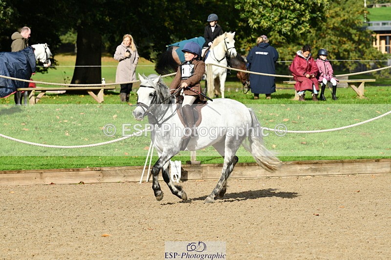 251004A-101952-00410 - Classes 1-2-3 40cm