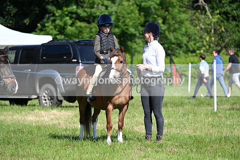 WJ7_0409 - Class 8 First Rally Pony