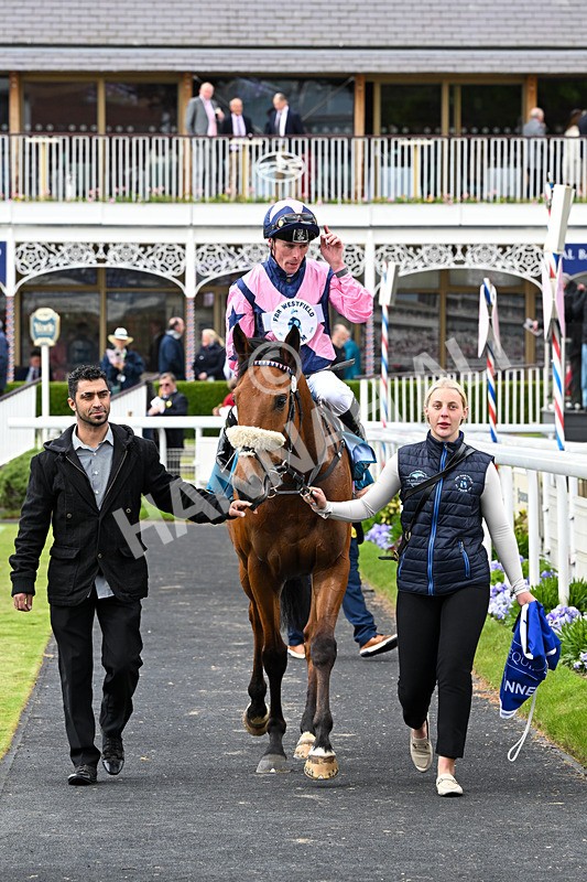 150526-Race 1-Zarathos-7032 - Race 1 1.45pm Yorkshire Equine Practice Handicap