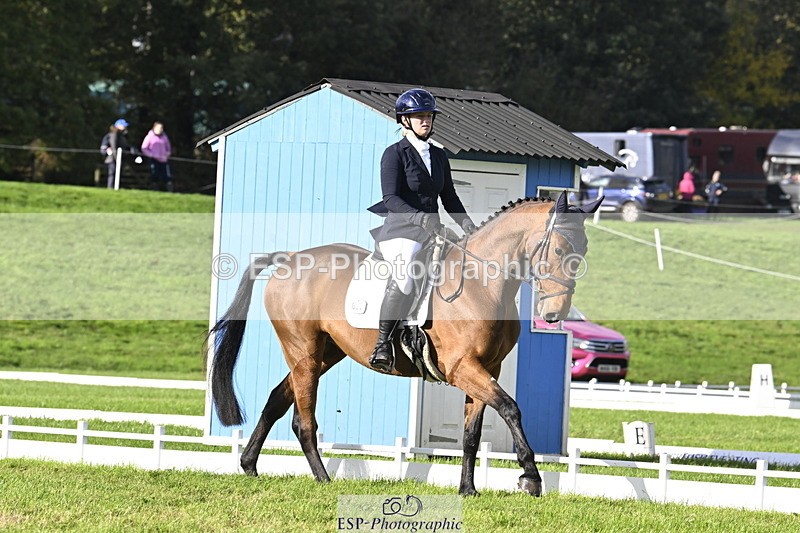 251023A-151015-04537 - E-386-Zara.Head
