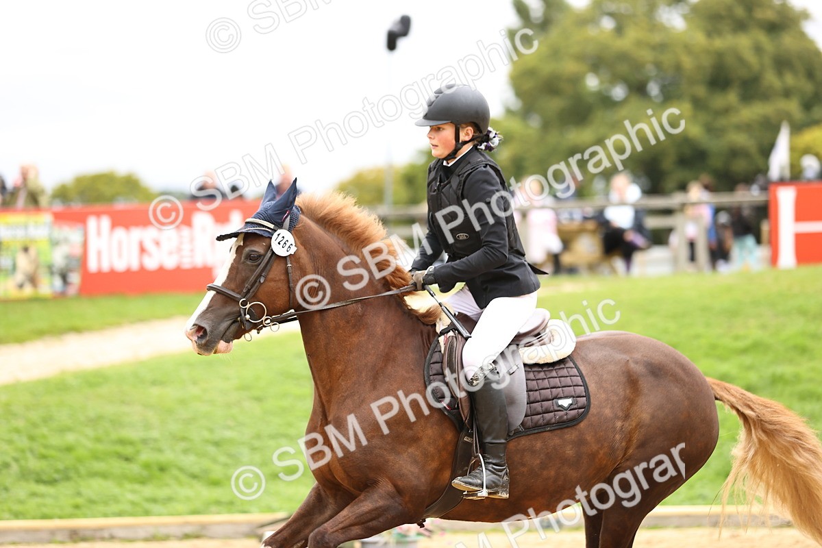 SBM_68677 - J18 - Junior Pony 85cm championship