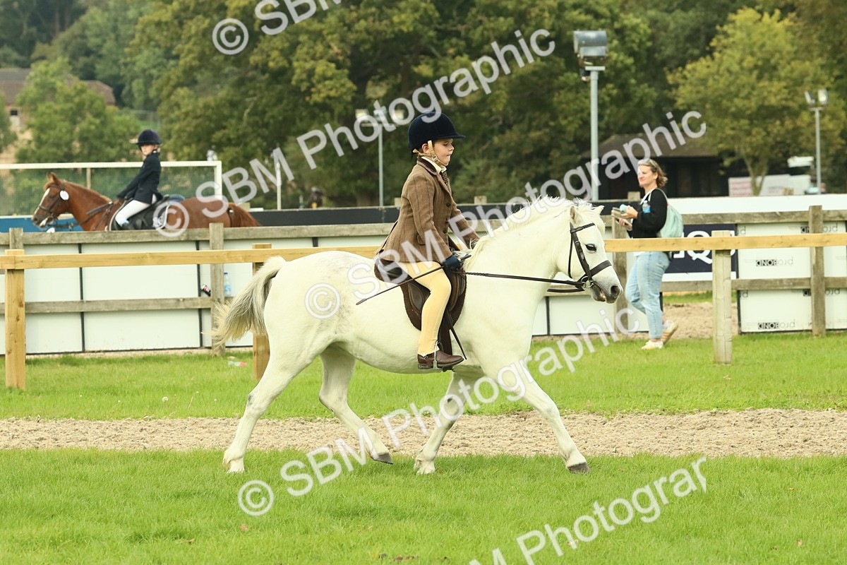 SBM_69930 - S59 - Mountain & Moorland Ridden Small Breeds