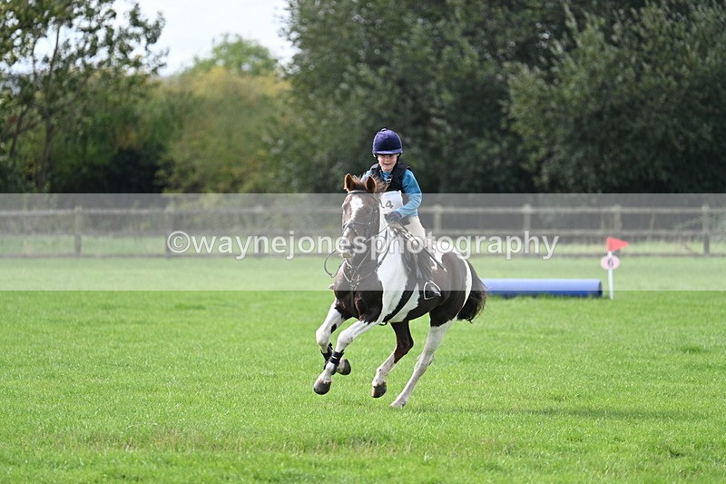 WJ7_8465 - 60cm Pairs