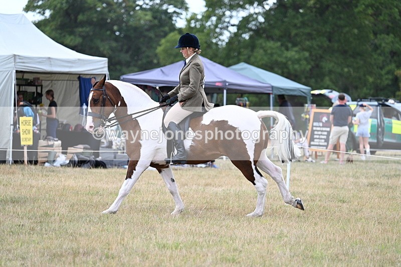 WJ7_5196 - Class 12 Ridden Cob