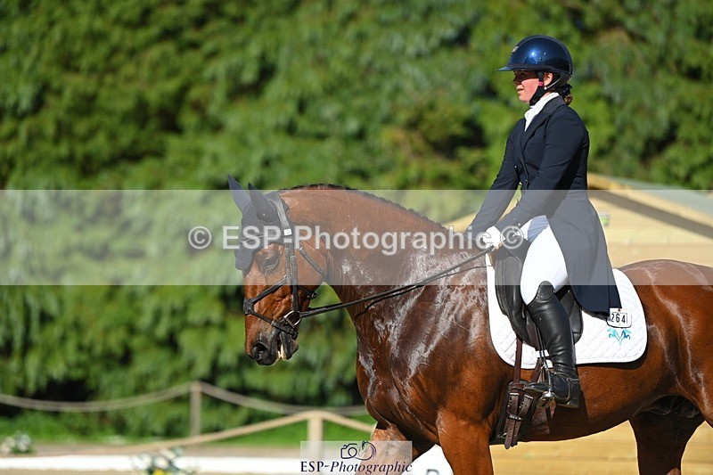 230526-173221-07633 - 264-BALLADEER_JUST_FOR_KICKS-Ellie_Healy-WEDTrotUp+DR