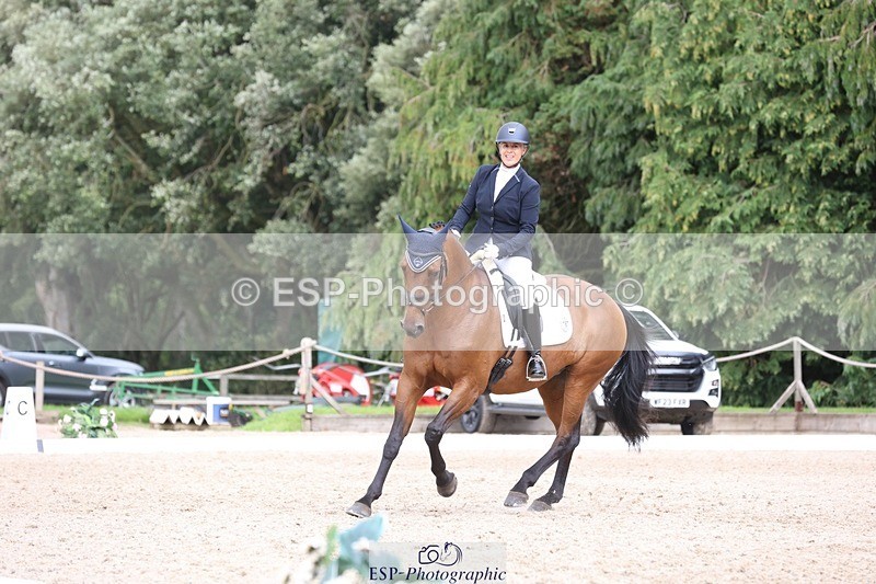 230812-150328-05038 - Cls 5 Novice Bronze 15.00 to End