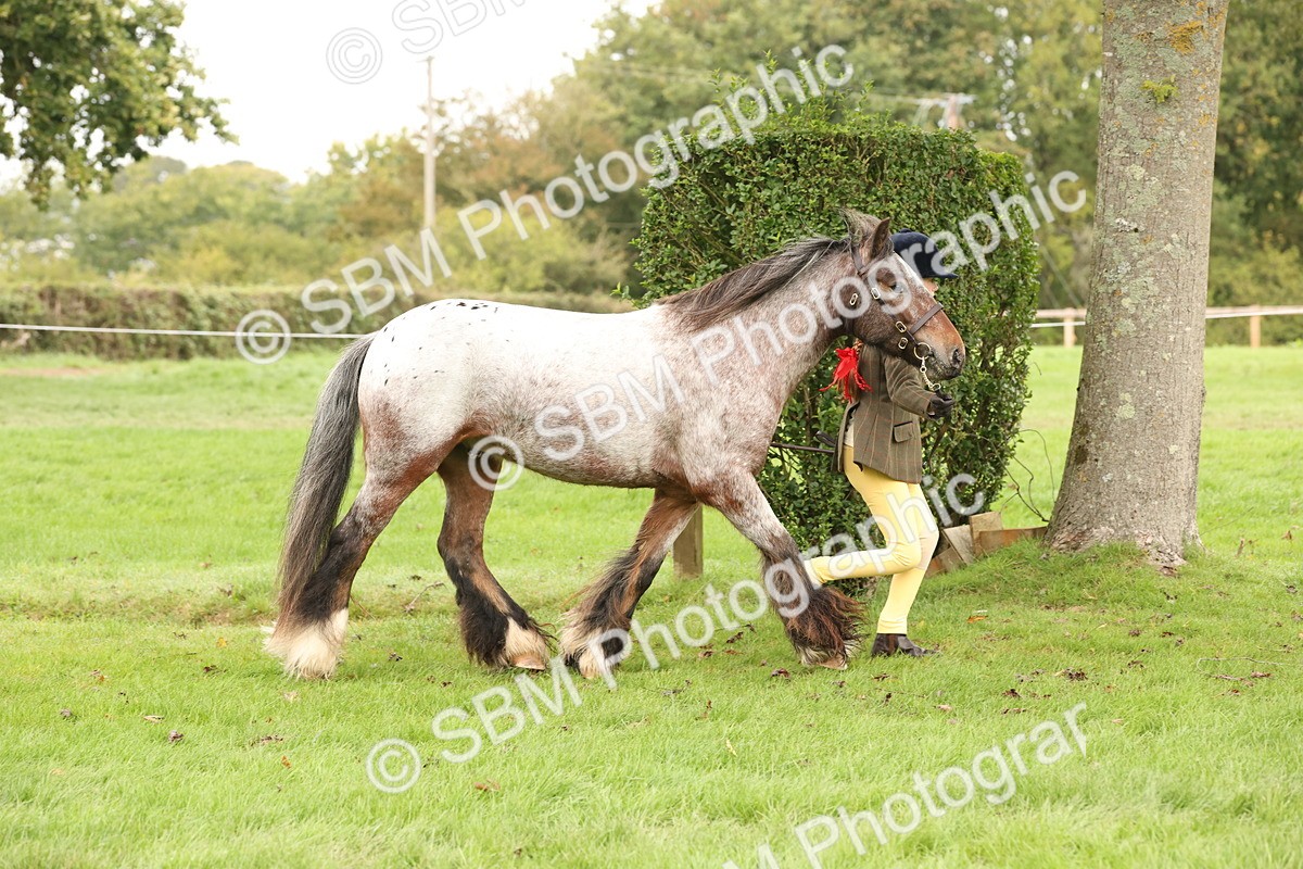 SBM_59231 - S57 - Traditional Cob In Hand