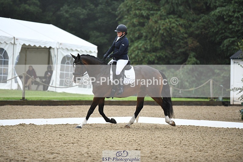 240720-094336-03591 - 271-Lauren_Gage-Creevagh_Miss_Bonnie